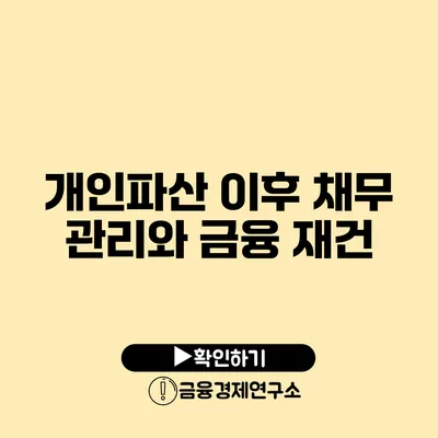 개인파산 이후 채무 관리와 금융 재건