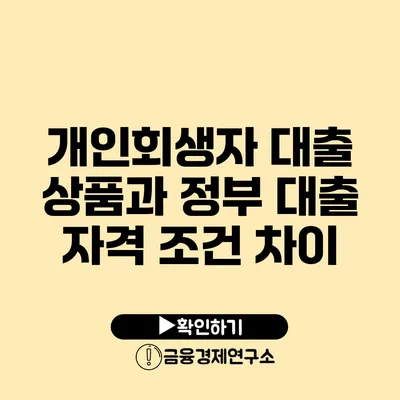 개인회생자 대출 상품과 정부 대출 자격 조건 차이