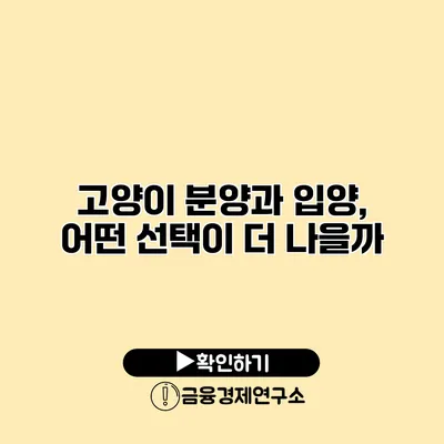 고양이 분양과 입양, 어떤 선택이 더 나을까?