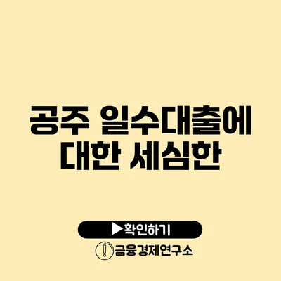 공주 일수대출에 대한 세심한