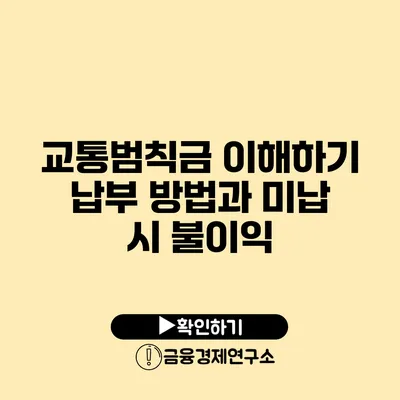 교통범칙금 이해하기: 납부 방법과 미납 시 불이익