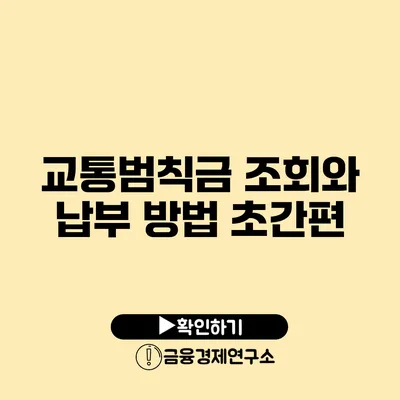 교통범칙금 조회와 납부 방법: 초간편