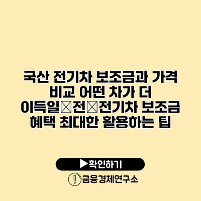 국산 전기차 보조금과 가격 비교 어떤 차가 더 이득일�전�전기차 보조금 혜택 최대한 활용하는 팁