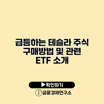 급등하는 테슬라 주식 구매방법 및 관련 ETF 소개