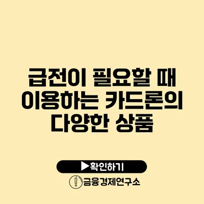 급전이 필요할 때 이용하는 카드론의 다양한 상품