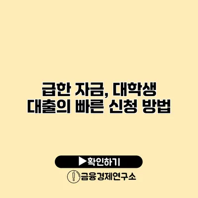 급한 자금, 대학생 대출의 빠른 신청 방법