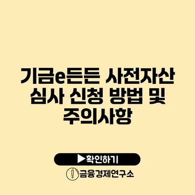 기금e든든 사전자산 심사 신청 방법 및 주의사항