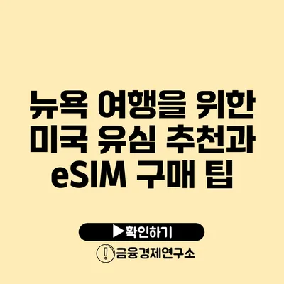 뉴욕 여행을 위한 미국 유심 추천과 eSIM 구매 팁