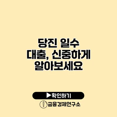 당진 일수 대출, 신중하게 알아보세요