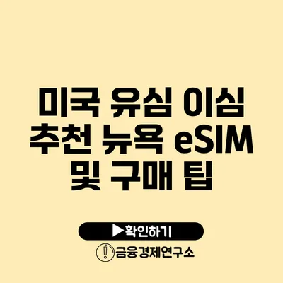 미국 유심 이심 추천 뉴욕 eSIM 및 구매 팁