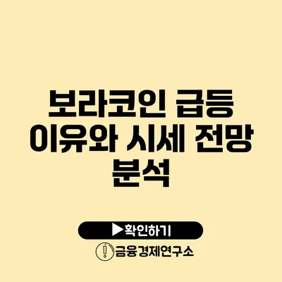 보라코인 급등 이유와 시세 전망 분석