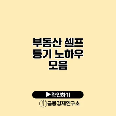 부동산 셀프 등기 노하우 모음