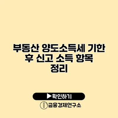 부동산 양도소득세 기한 후 신고 소득 항목 정리