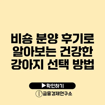 비숑 분양 후기로 알아보는 건강한 강아지 선택 방법