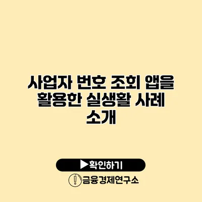 사업자 번호 조회 앱을 활용한 실생활 사례 소개