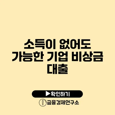 소득이 없어도 가능한 기업 비상금 대출