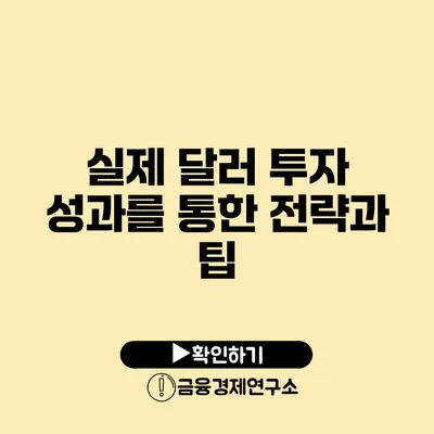 실제 달러 투자 성과를 통한 전략과 팁