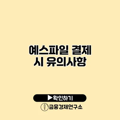 예스파일 결제 시 유의사항