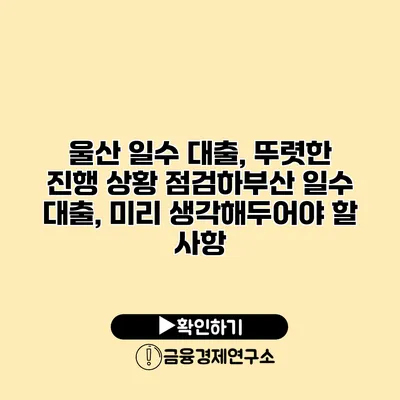 울산 일수 대출, 뚜렷한 진행 상황 점검하부산 일수 대출, 미리 생각해두어야 할 사항