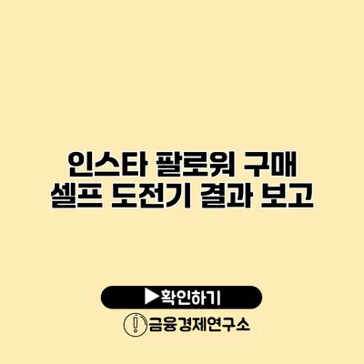 인스타 팔로워 구매 셀프 도전기 결과 보고