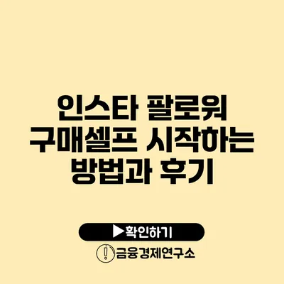 인스타 팔로워 구매셀프 시작하는 방법과 후기