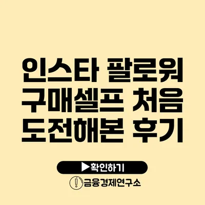 인스타 팔로워 구매셀프 처음 도전해본 후기