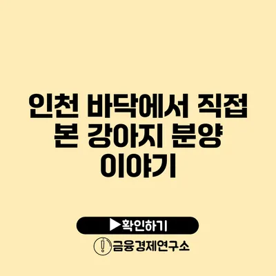 인천 바닥에서 직접 본 강아지 분양 이야기
