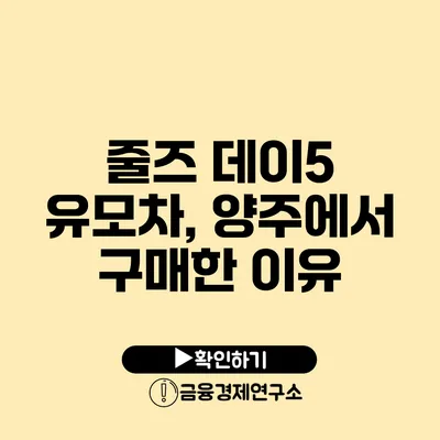 줄즈 데이5 유모차, 양주에서 구매한 이유