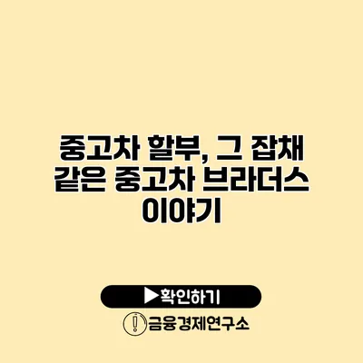 중고차 할부, 그 잡채 같은 중고차 브라더스 이야기