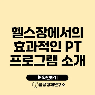 헬스장에서의 효과적인 PT 프로그램 소개