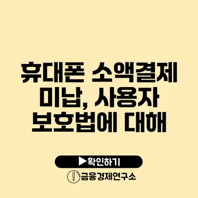 휴대폰 소액결제 미납, 사용자 보호법에 대해