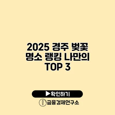 2025 경주 벚꽃 명소 랭킹 나만의 TOP 3