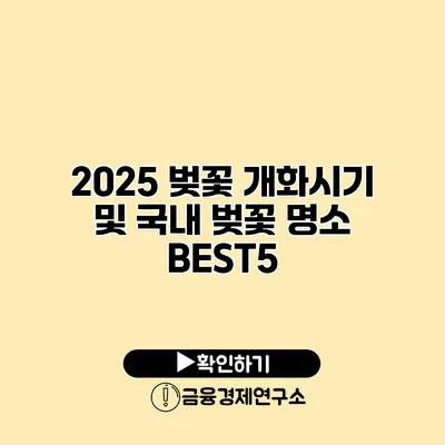 2025 벚꽃 개화시기 및 국내 벚꽃 명소 BEST5