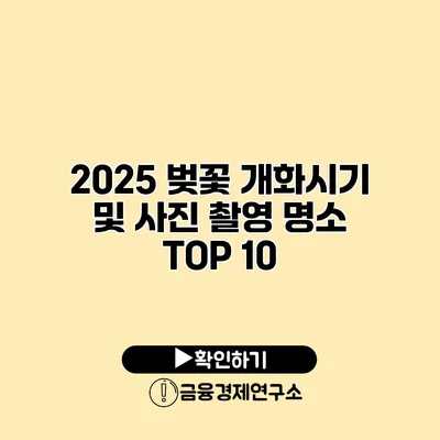2025 벚꽃 개화시기 및 사진 촬영 명소 TOP 10