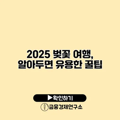2025 벚꽃 여행, 알아두면 유용한 꿀팁