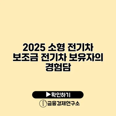 2025 소형 전기차 보조금 전기차 보유자의 경험담