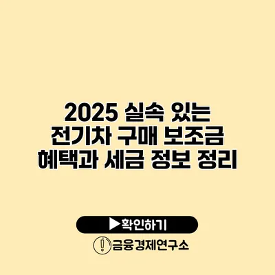 2025 실속 있는 전기차 구매 보조금 혜택과 세금 정보 정리