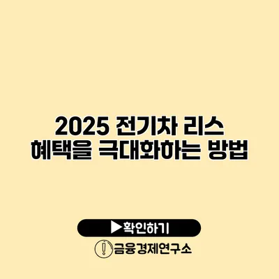 2025 전기차 리스 혜택을 극대화하는 방법
