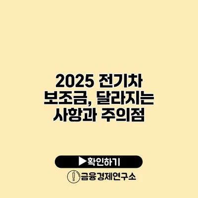 2025 전기차 보조금, 달라지는 사항과 주의점