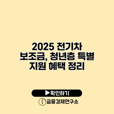 2025 전기차 보조금, 청년층 특별 지원 혜택 정리