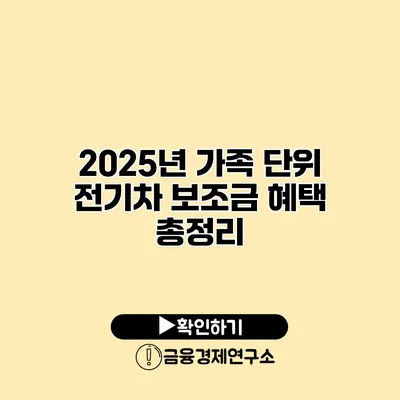2025년 가족 단위 전기차 보조금 혜택 총정리