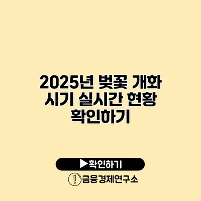 2025년 벚꽃 개화 시기 실시간 현황 확인하기
