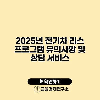 2025년 전기차 리스 프로그램 유의사항 및 상담 서비스