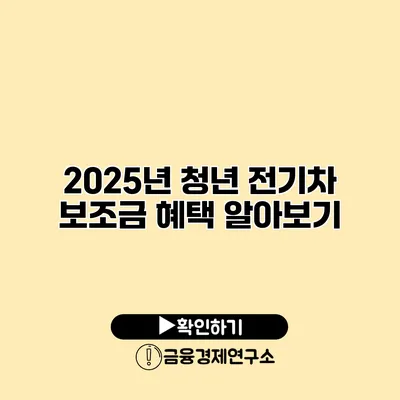 2025년 청년 전기차 보조금 혜택 알아보기