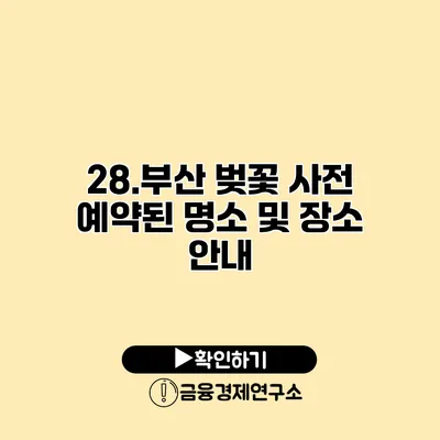 28.부산 벚꽃 사전 예약된 명소 및 장소 안내