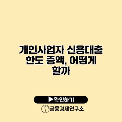 개인사업자 신용대출 한도 증액, 어떻게 할까?