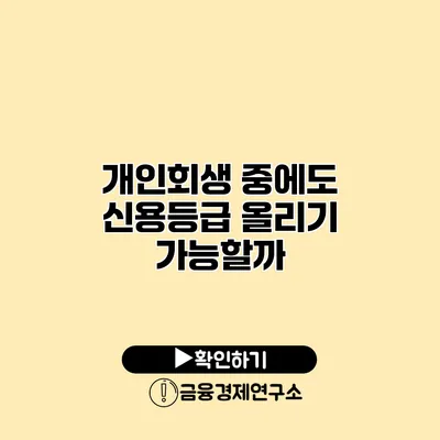 개인회생 중에도 신용등급 올리기 가능할까?