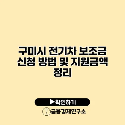구미시 전기차 보조금 신청 방법 및 지원금액 정리
