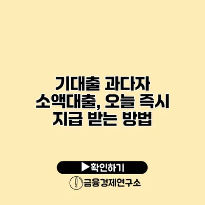 기대출 과다자 소액대출, 오늘 즉시 지급 받는 방법