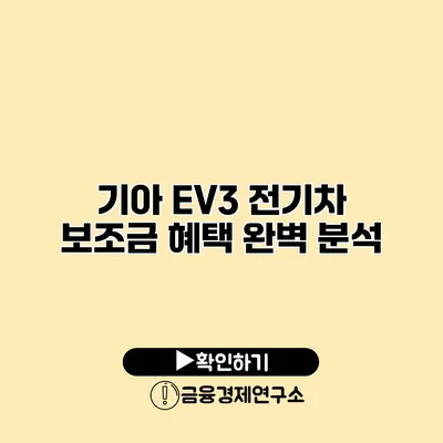 기아 EV3 전기차 보조금 혜택 완벽 분석